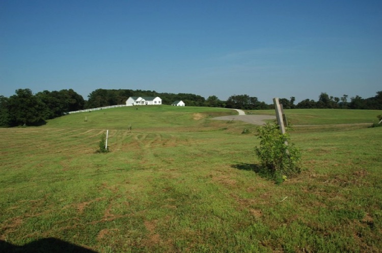 Lot 15 - view 6