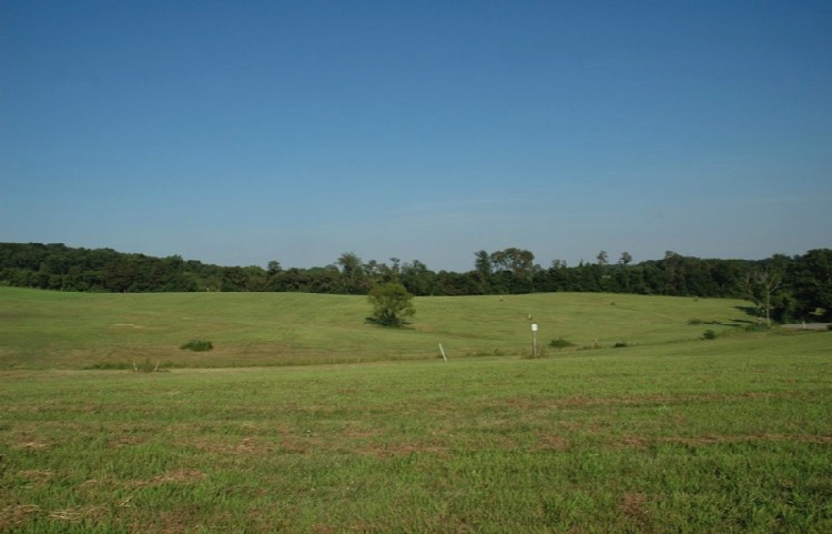 Lot 21 - view 3