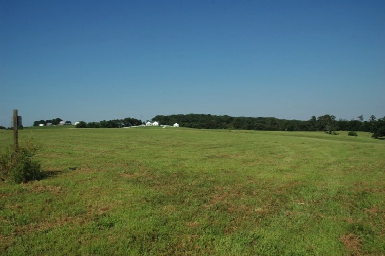 Lot 9 - view 6